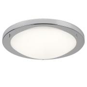 Opal Glass Shape LED Ceiling Lamp in Satin Silver Finish