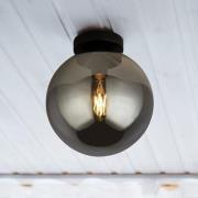 Amsterdam 1 Ceiling Light In Matt Black With Smoked Glass