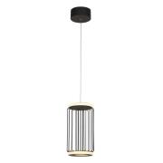 Circolo LED Cage Pendant Light In Black And White