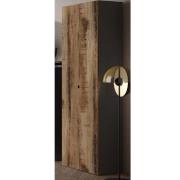 Salta Tall Wooden Wardrobe With 2 Doors In Black And Pearl Oak