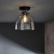 Butte Tinted Glass Shade Ceiling Light In Black Chrome