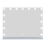Holmdel Large Dressing Mirror With LED Lighting In Clear